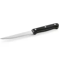 CARLOS Steakmessen | RVS/Kunststof | 12 Stuks | Lengte 210mm