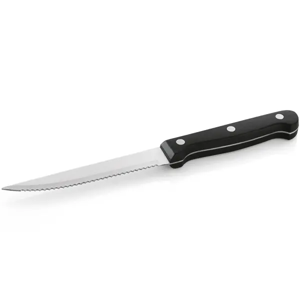 Steakmessen | RVS/Kunststof | 12 Stuks | Lengte 210mm