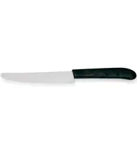ESSENTIALS Steakmessen | RVS/Kunststof | 6 Stuks | Lengte 220mm