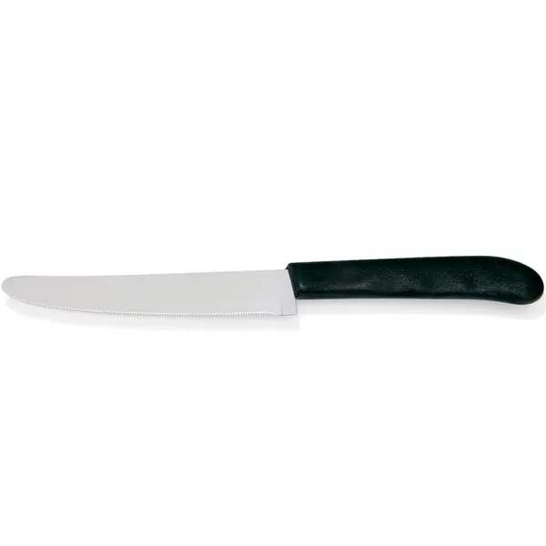 Steakmessen | RVS/Kunststof | 6 Stuks | Lengte 220mm