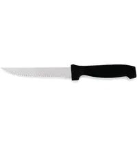 ESSENTIALS Steakmessen | RVS/Kunststof | 6 Stuks | Lengte 220mm