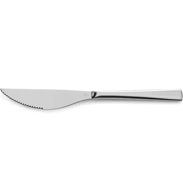 Steakmessen | RVS | 6 Stuks | Lengte 230mm