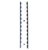 Gastro M Wandrail | RVS | 250mm 