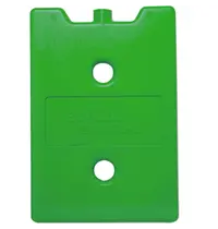 Thermo Future Box Warmhoudelement | Kunststof | Thermo Future Box DinnerBox Mini-Menu Thermo-Cateringcontainers | 220x150x20(h)mm 