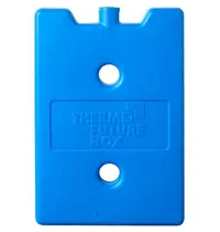 Thermo Future Box Koelelement | Kunststof | Thermo Future Box DinnerBox Mini-Menu Thermo-Cateringcontainers | 220x150x20(h)mm 