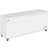 Tefcold Vrieskist | CF-SL | Wit | 660L | -14°C/-24°C | Statisch | Kanteldeksel | Wielen (Geremd) | 2060x716x903(h)mm
