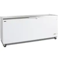 Tefcold Vrieskist | CF-SL | Wit/RVS | 660L | -14°C/-24°C | Statisch | Kanteldeksel | Wielen (Geremd) | 2060x716x903(h)mm