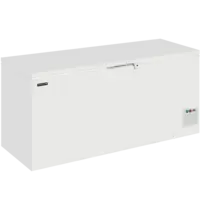 Elcold Vrieskist | Wit | 691L | -18°C/-22°C | Statisch | Kanteldeksel | 1800x770x860(h)mm