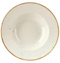 Churchill Diepe Borden | STONECAST | Keramiek | Crème | 12 Stuks | Ø280mm 