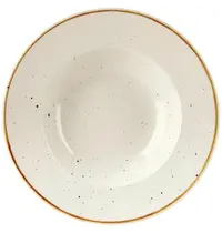 Churchill Diepe Borden | STONECAST | Keramiek | Wit | 12 Stuks | Ø240mm