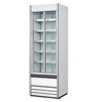 Fogal Wandkoeling | ALASKA | Wit | 0°C/+5°C | Geforceerd | Draaideuren | 960x636x2096(h)mm