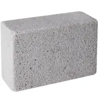 Jantex Grillsteen | Puimsteen | 100x70x40(h)mm