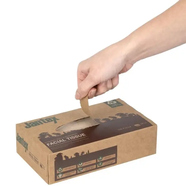 Gezichtsreinigingsdoekjes | GREEN | Gerecycled Papier | 2-Laags | 100 Vel/Pak | 36 Stuks | 200mm