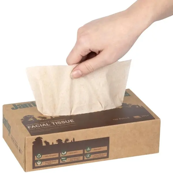 Gezichtsreinigingsdoekjes | GREEN | Gerecycled Papier | 2-Laags | 100 Vel/Pak | 36 Stuks | 200mm