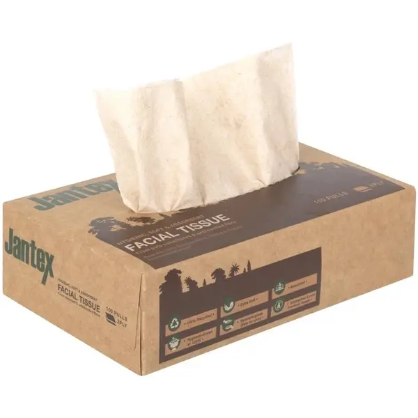 Gezichtsreinigingsdoekjes | GREEN | Gerecycled Papier | 2-Laags | 100 Vel/Pak | 36 Stuks | 200mm