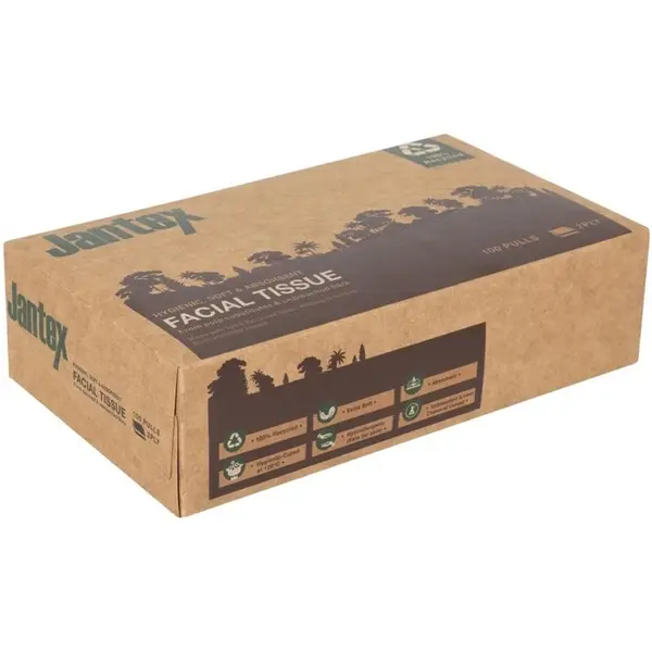 Gezichtsreinigingsdoekjes | GREEN | Gerecycled Papier | 2-Laags | 100 Vel/Pak | 36 Stuks | 200mm