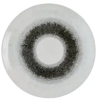 Churchill Coupeborden | STUDIO PRINTS FUSION | Keramiek | Zwart | 12 Stuks | Ø288mm 