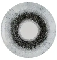 Churchill Coupeborden | STUDIO PRINTS FUSION | Keramiek | Zwart | 12 Stuks | Ø260mm 