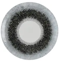 Churchill Coupeborden | STUDIO PRINTS FUSION | Keramiek | Zwart | 12 Stuks | Ø217mm 