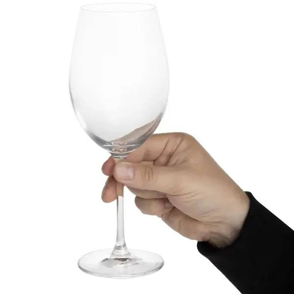 Wijnglazen | NOVELLO | Kristalglas | 47cl | 6 Stuks | Ø84x223(h)mm