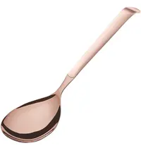 Amefa Opscheplepels | BUFFET | RVS | 6 Stuks 