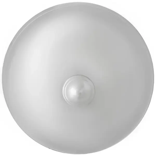Afdekkap/Cloche | RVS | Ø295x180(h)mm