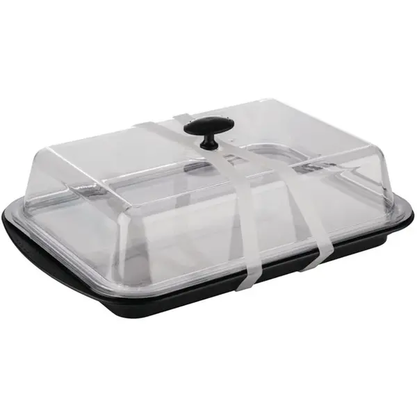 Buffetvitrine | Kunststof/RVS | Gekoeld | Incl. Serveerchaal | 2 Koelelementen + Deksel | 430x290x140(h)mm
