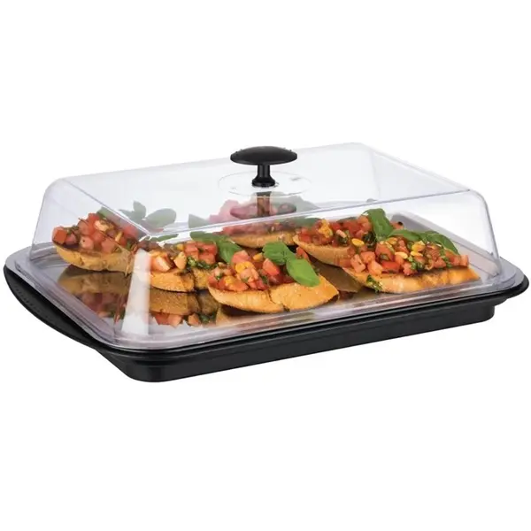 Buffetvitrine | Kunststof/RVS | Gekoeld | Incl. Serveerchaal | 2 Koelelementen + Deksel | 430x290x140(h)mm