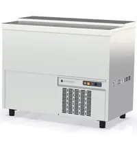 Coreco Flessenkoeler | BE | 270L | RVS | +2°C/+8°C | Statisch | 2 Schuifdeksels | 1010x550x850(h)mm