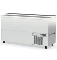 Coreco Flessenkoeler | BE | 420L | RVS | +2°C/+8°C | Statisch | 3 Schuifdeksels | 1500x550x850(h)mm