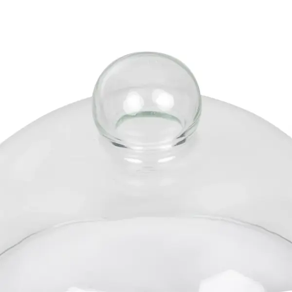 Afdekkap/Cloche | Glas | Transparant | Ø210x170(h)mm