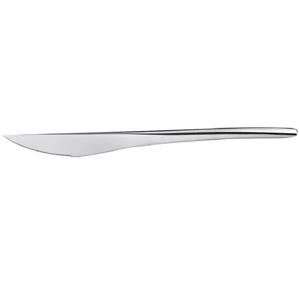 Steakmessen | RVS | 12 Stuks | Lengte 230mm