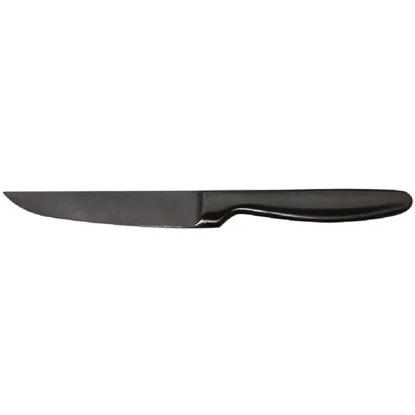 Steakmessen | BOJ SATIN | RVS | 6 Stuks | Lengte 221mm
