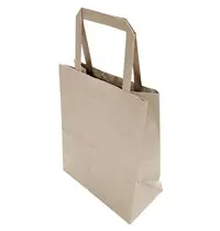 Fiesta Recyclable Draagtassen | Papier | Bruin | Recyclebaar | 250 Stuks | 177x90x210(h)mm