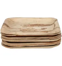Fiesta Compostable Borden | Palmblad | Composteerbaar | 100 Stuks | 200x200mm