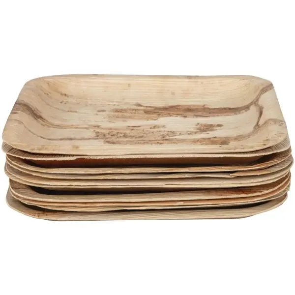 Borden | Palmblad | Composteerbaar | 100 Stuks | 200x200mm
