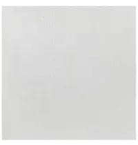 Fiesta Compostable Vetvrij Papier | Wit | Composteerbaar | 200 Stuks | 750x500mm
