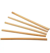 Sier Disposables Rietjes | Riet | Composteerbaar | 50 Stuks | Ø8x200(h)mm