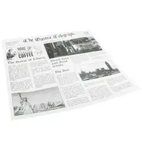 Sier Disposables Vetvrij Papier | Krantenprint | 300 Stuks | 300x300mm