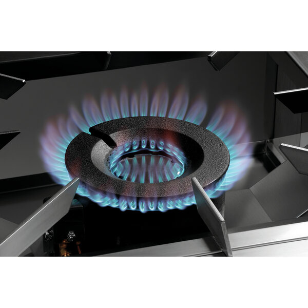 Gaswokbrander | G-1KB 1K2000 | 20kW | Vloeibaar Gas | Kookzone Ø600mm | Voor Buiten