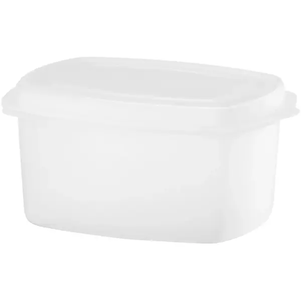 Rasp | RVS/Kunststof | 4 Zijden | Incl. Container | 158x130x310(h)mm