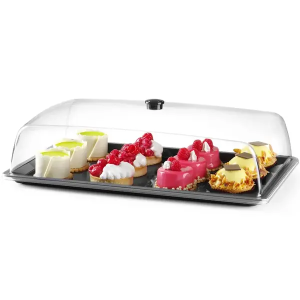 Buffetvitrine | Kunststof | 535x335x165(h)mm