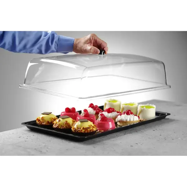 Buffetvitrine | Kunststof | 535x335x165(h)mm