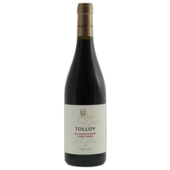 Tolloy Pinot Nero