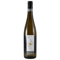 BIO Diwald Diebsnest Früroter Veltliner