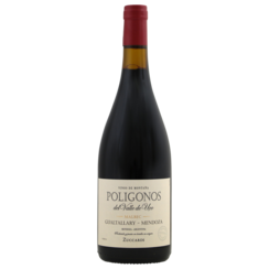 Zuccardi Poligonos Gualtallary Malbec