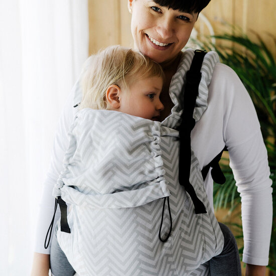 Little Frog  Little Frog Preschooler - Platinum  Miles