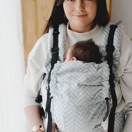 Little Frog  Little Frog Prime Carrier V3 - Platinum Miles