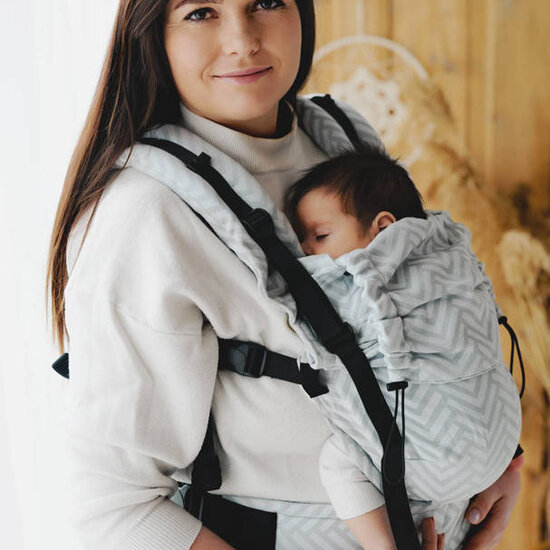 Little Frog  Little Frog Prime Carrier V3 - Platinum Miles