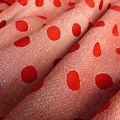 Didymos Didymos draagdoek - Red Dots Hemp